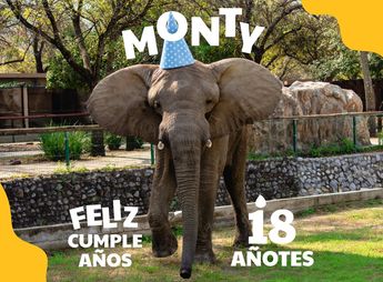 Cumpleaños de Monty / Zoológico La Pastora