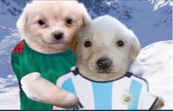 Meme sobre la participación de México en Qatar 2022