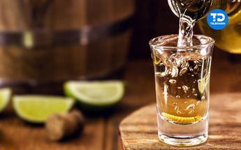 Exportación de tequila y mezcal disminuye en Guanajuato en este 2023 | Cortesía