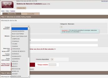 Página de citas del INE