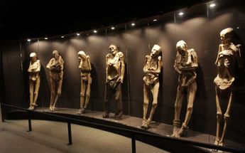 Museo de las momias / Dany Béjar