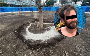 Vinculan a hombre que vació cemento en ahuehuete / Especial