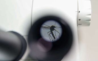 A nivel nacional se han notificado mil 252 defunciones por probable dengue, 200 de ellas confirmadas. | Reuters
