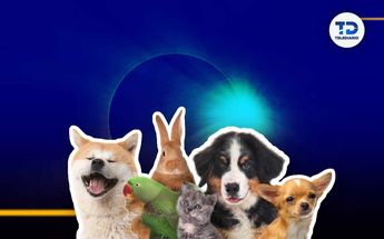 La UNAM analizará el comportamiento de los animales durante el eclipse solar anular 2023/ Ana Ramírez