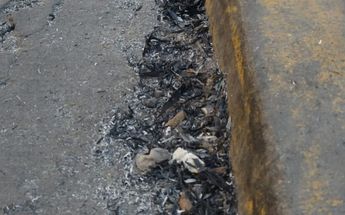 Banquetas cubiertas de ceniza en El Salto Jalisco / Telediario