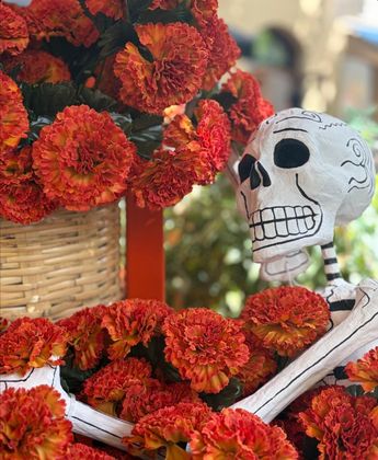 Las Calaveras Saraperas permanecerán en exhibición durante varios días en espacios públicos de Saltillo. | Pexels