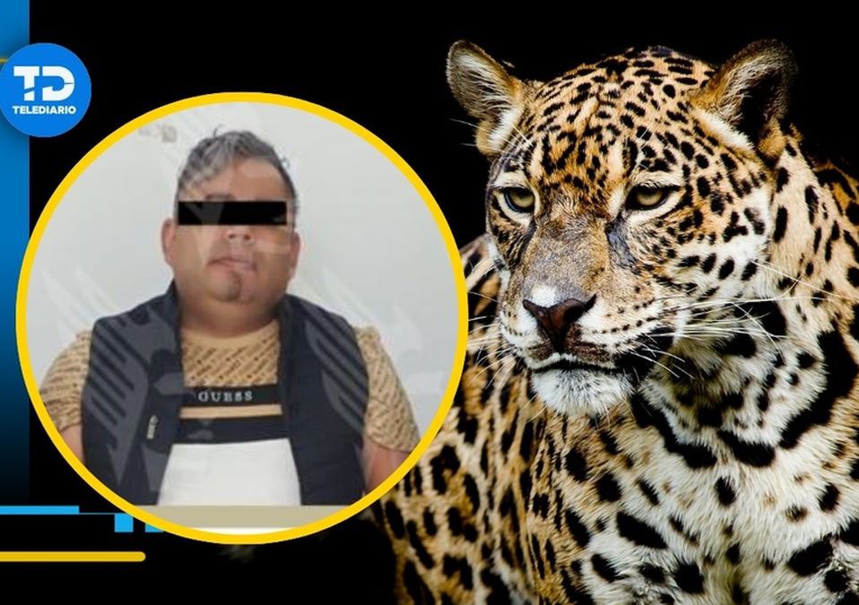 El detenido podría ser imputado por posesión ilegal de arma de fuego y tráfico de especies protegidas / Especial