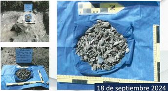 Bolsas con restos óseos encontrados en Teuchitlán | Especial