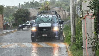 El granizo obligó a suspender las labores de búsqueda del tigre de bengala blanco | Cortesía