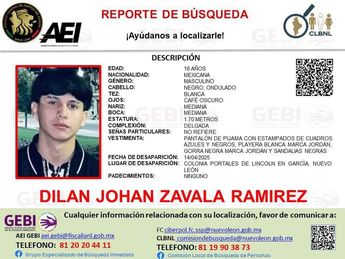Ficha de búsqueda de Dilan Johan Zavala Ramírez. | Cortesía