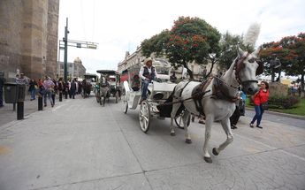 Eliminarán uso de caballos en calandrias de Jalisco