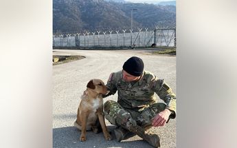 Gus ahora tiene una familia que lo ama / Paws of War